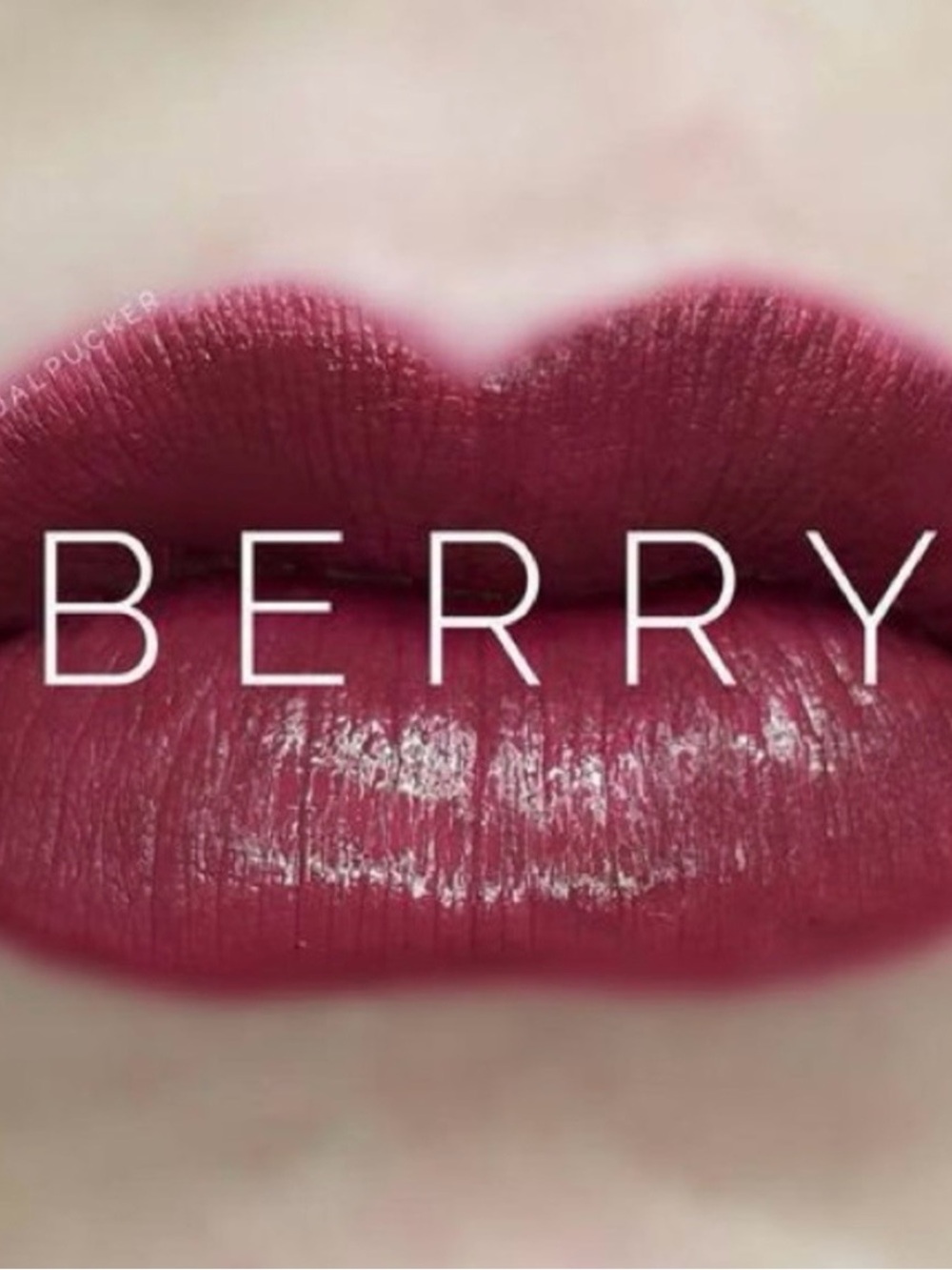Lipsense Berry Lipstick - Deep Berry Shade